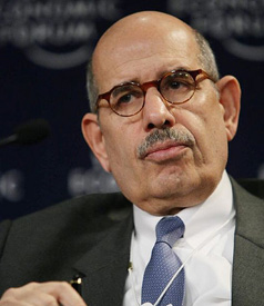 ElBaradei, Muslim Brotherhood Offer Political Path Out of Egyptian Confrontation