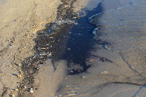 Black granular material at Long Beach, Mississippi that tested positive for crude oil.